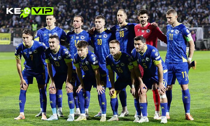 Đội tuyển Bóng đá Quốc gia Bosnia
