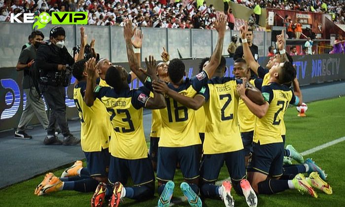 Đội tuyển bóng đá quốc gia Ecuador