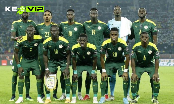 Nhận định soi kèo Pháp vs Senegal WC2026, 2h ngày 17/06 3 Đội tuyển bóng đá quốc gia Senegal